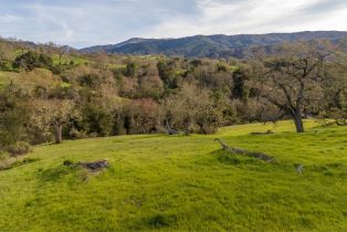 , 21 Pronghorn Run (Lot 119), Carmel, CA 93923 - 9