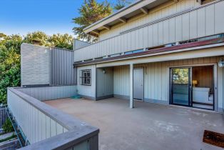 Single Family Residence, 26250 Ocean View ave, Carmel, CA 93923 - 36