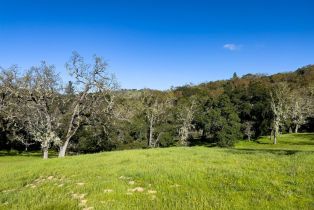 , 22 Arroyo Sequoia, Carmel, CA 93923 - 8