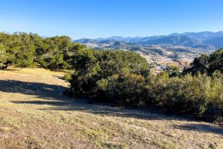 , 52 Chamisal pass, Carmel, CA 93923 - 19