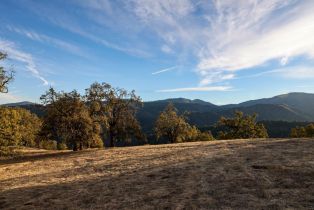 , 16 Long Ridge trl, Carmel, CA 93923 - 12