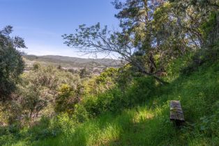 Single Family Residence, 27407 Schulte rd, Carmel Valley, CA 93923 - 34