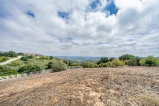 Single Family Residence, 24405 Fuerte rd, Temecula, CA 92590 - 46