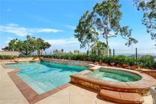 Single Family Residence, 1 Cobalt dr, Dana Point, CA 92629 - 39