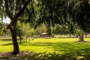 Single Family Residence, 521 Fremont dr, Pasadena, CA 91103 - 59