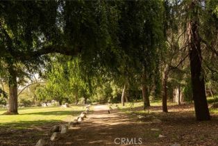 Single Family Residence, 521 Fremont dr, Pasadena, CA 91103 - 60