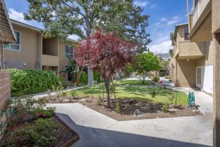 Condominium, 1901 Peyton ave, Burbank, CA 91504 - 3