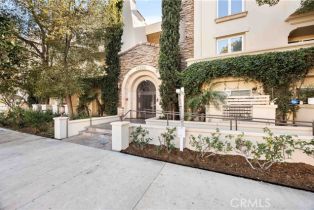 Condominium, 15206 Burbank BLVD, Sherman Oaks, CA  Sherman Oaks, CA 91411