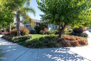 Single Family Residence, 175 Lindo ln, Morgan Hill, CA 95037 - 37