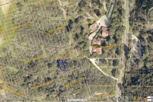 Land, 0  W Ridgetop LN, Bel Air, CA  Bel Air, CA 90077