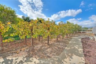 Single Family Residence, 40523 Calle Torcida, Temecula, CA 92591 - 61