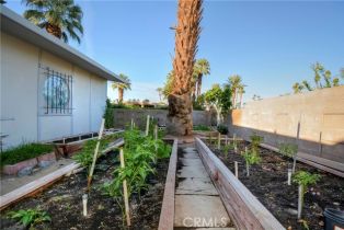 Single Family Residence, 75493 Stardust ln, Indian Wells, CA 92210 - 68