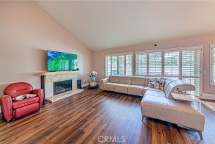 Single Family Residence, 21285 VIA DEL VAQUERO, Yorba Linda, CA 92887 - 4