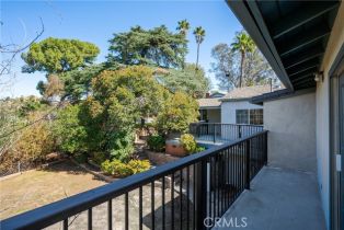 Single Family Residence, 3003 Central ave, Riverside, CA 92506 - 37