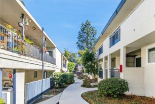 Residential Income, 265 Oakland ave, Pasadena, CA 91101 - 24