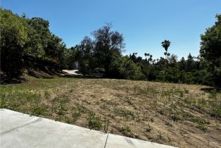 , 4632 Libbit ave, Encino, CA 91436 - 16