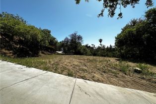 , 4632 Libbit ave, Encino, CA 91436 - 17