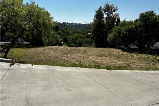 Land, 4632 Libbit AVE, Encino, CA  Encino, CA 91436