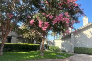 Condominium, 2220 Chapman ave, Fullerton, CA 92831 - 2