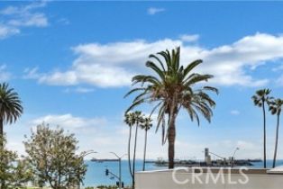 Condominium, 9 Temple ave, Long Beach, CA 90803 - 44