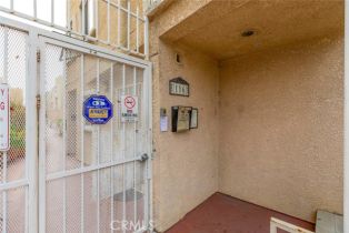 Condominium, 116 Maple st, Glendale, CA 91204 - 49