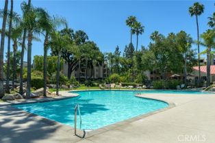 Condominium, 5500 Owensmouth ave, Woodland Hills, CA 91367 - 32