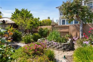 Residential Income, 33695 Blue Lantern st, Dana Point, CA 92629 - 29