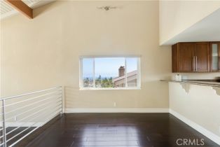 Residential Income, 33695 Blue Lantern st, Dana Point, CA 92629 - 7