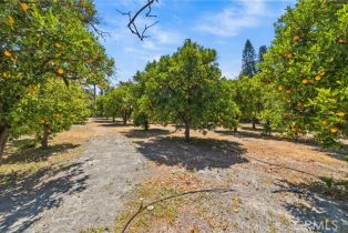 Single Family Residence, 805 Chase dr, Corona, CA 92881 - 12