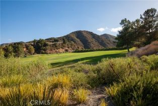 Single Family Residence, 24051 Steelhead dr, Corona, CA 92883 - 38