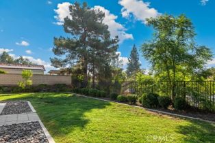 Single Family Residence, 265 Cottonwood ave, Riverside, CA 92506 - 43