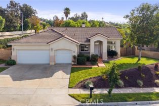 Single Family Residence, 725 Via Blairo, CA  , CA 92879