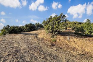 , 0 Calle Jardin, Temecula, CA 92590 - 10