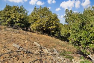 , 0 Calle Jardin, Temecula, CA 92590 - 12