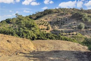 , 0 Calle Jardin, Temecula, CA 92590 - 15