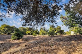 , 0 Calle Jardin, Temecula, CA 92590 - 17