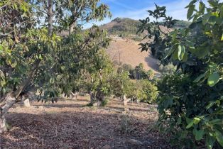 , 0 Calle Jardin, Temecula, CA 92590 - 23