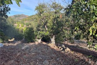 , 0 Calle Jardin, Temecula, CA 92590 - 24