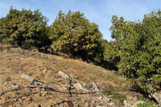 , 0 Calle Jardin, Temecula, CA 92590 - 30