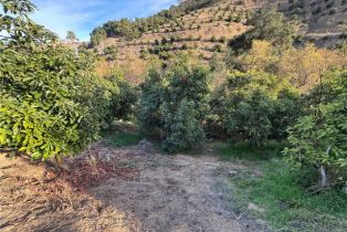 , 0 Calle Jardin, Temecula, CA 92590 - 31