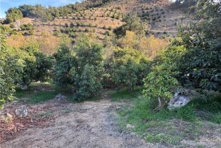 , 0 Calle Jardin, Temecula, CA 92590 - 33