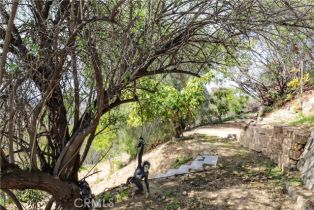 , 0 Angel View Terrace ave, Orange, CA 92865 - 15