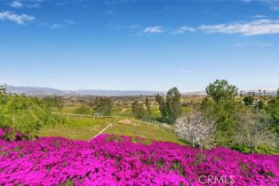 Single Family Residence, 15980 Summit Crest dr, Riverside, CA 92506 - 43