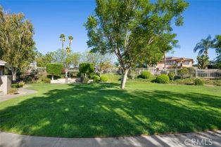 Single Family Residence, 6863 Canyon Hill dr, Riverside, CA 92506 - 12