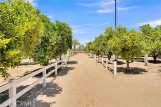 Single Family Residence, 2523 Adams st, Riverside, CA 92504 - 10