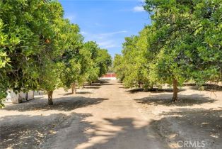 Single Family Residence, 2523 Adams st, Riverside, CA 92504 - 26