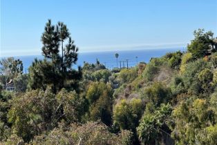 Single Family Residence, 990 Meadowlark dr, Laguna Beach, CA 92651 - 48