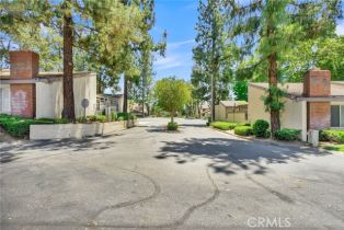 Condominium, 806 Daffodil dr, Riverside, CA 92507 - 19