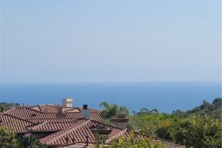 Single Family Residence, 6 SABLE SANDS, Newport Coast, CA 92657 - 45