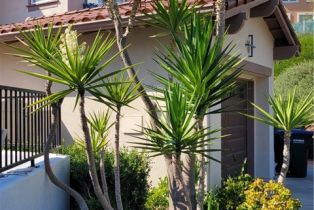 Single Family Residence, 6 SABLE SANDS, Newport Coast, CA 92657 - 47